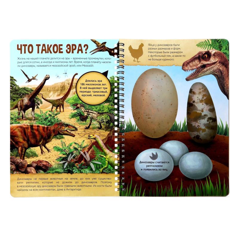 Сортер-юла Jurassic World Яйца динозавров, Toomies