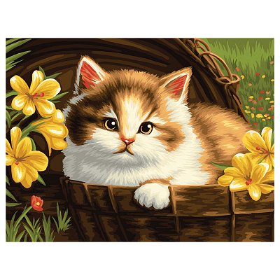 Картина по номерам на холсте ТРИ СОВЫ «Котенок в корзине», 30×40, с акриловыми красками и кистями