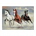 превью Алмазная мозаика ТРИ СОВЫ «Тройка лошадей», 50×70см, холст, картонная коробка с пластиковой ручкой