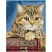 превью Алмазная мозаика ТРИ СОВЫ «Кошка», 40×50см, холст на деревянном подрамнике, картонная коробка с пластиковой ручкой