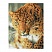 превью Алмазная мозаика ТРИ СОВЫ «Леопард», 40×50см, холст на деревянном подрамнике, картонная коробка с пластиковой ручкой